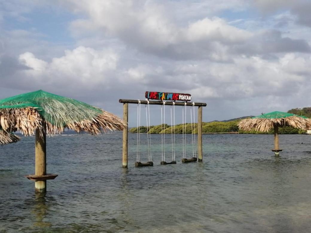 Las Palmas Beach Hotel Dixon Cove Eksteriør billede