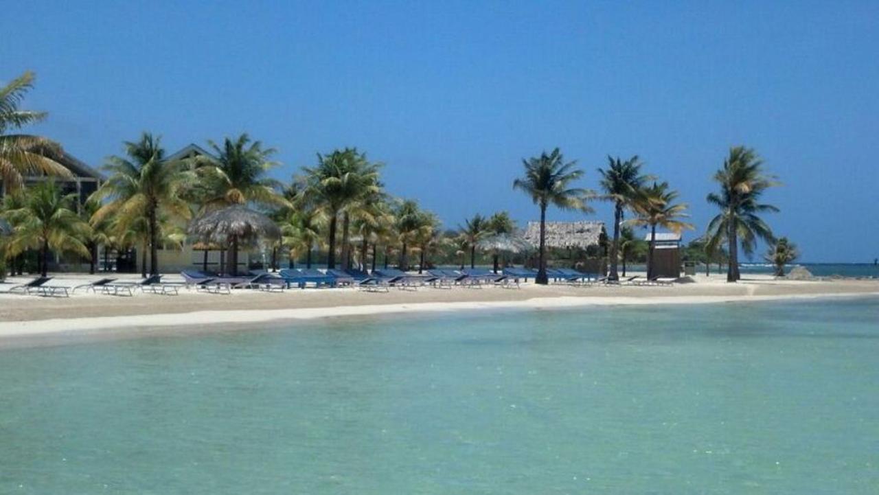 Las Palmas Beach Hotel Dixon Cove Eksteriør billede