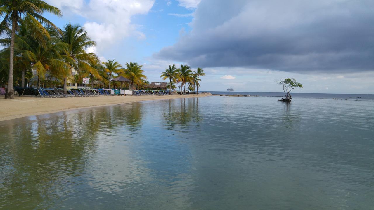 Las Palmas Beach Hotel Dixon Cove Eksteriør billede