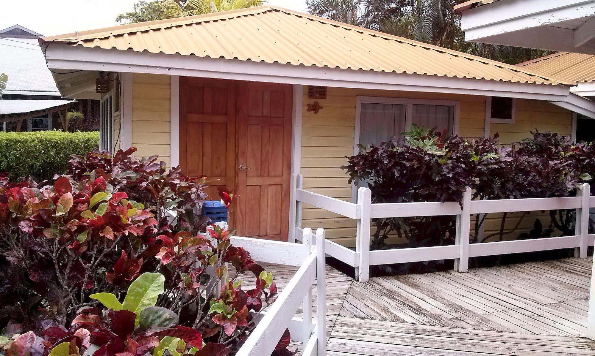 Las Palmas Beach Hotel Dixon Cove Eksteriør billede